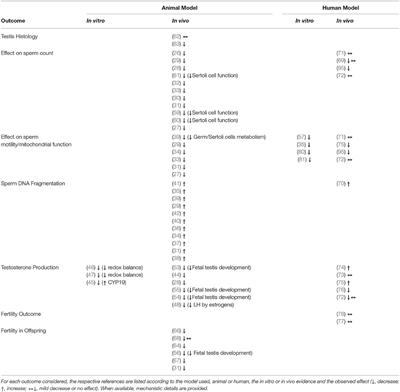 Bisphenols and Male Reproductive Health: From Toxicological Models to Therapeutic Hypotheses